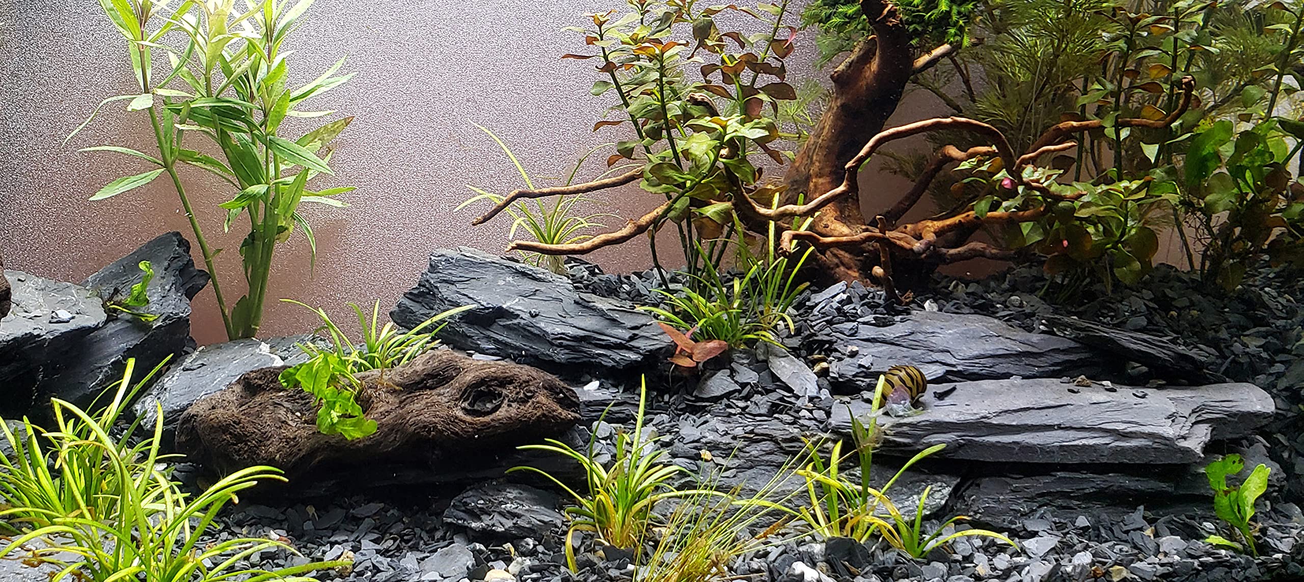 black axe splitting stone mix size (1kg)