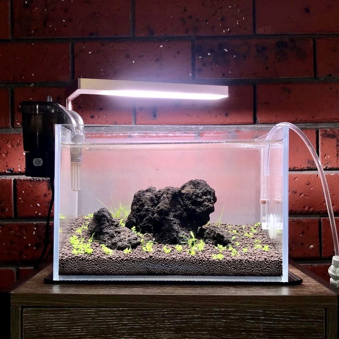 black lava rock mix size (1kg)