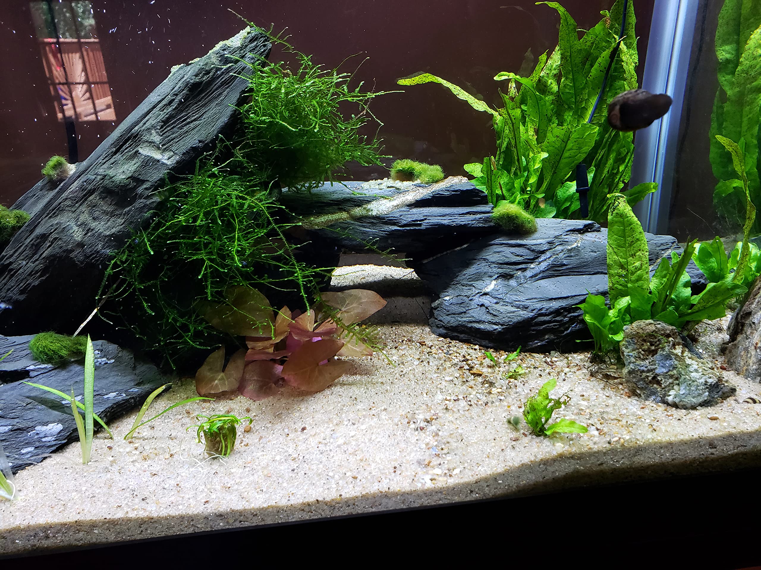 green slate mix size (1kg)