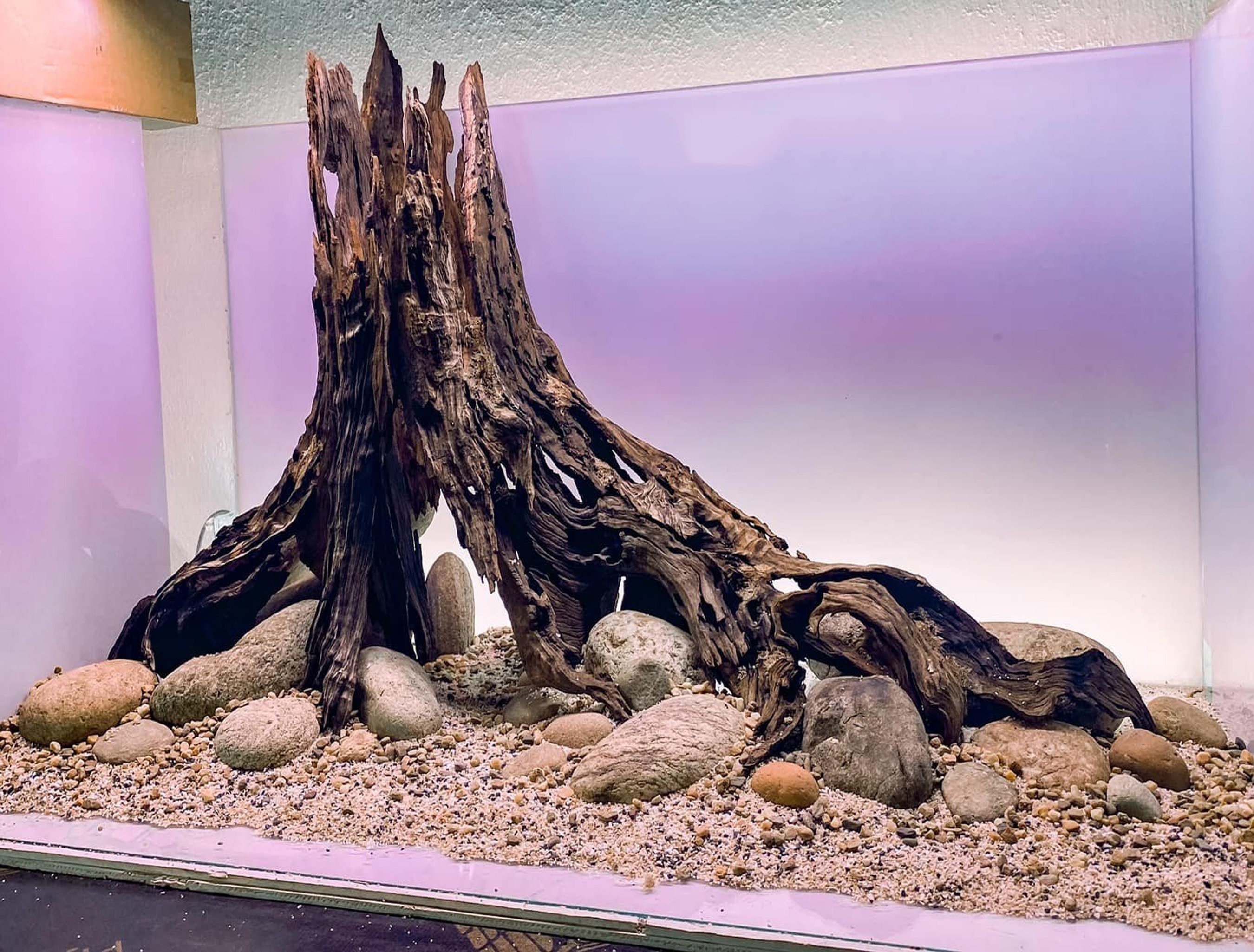 lucky wood stump mix size (1kg)