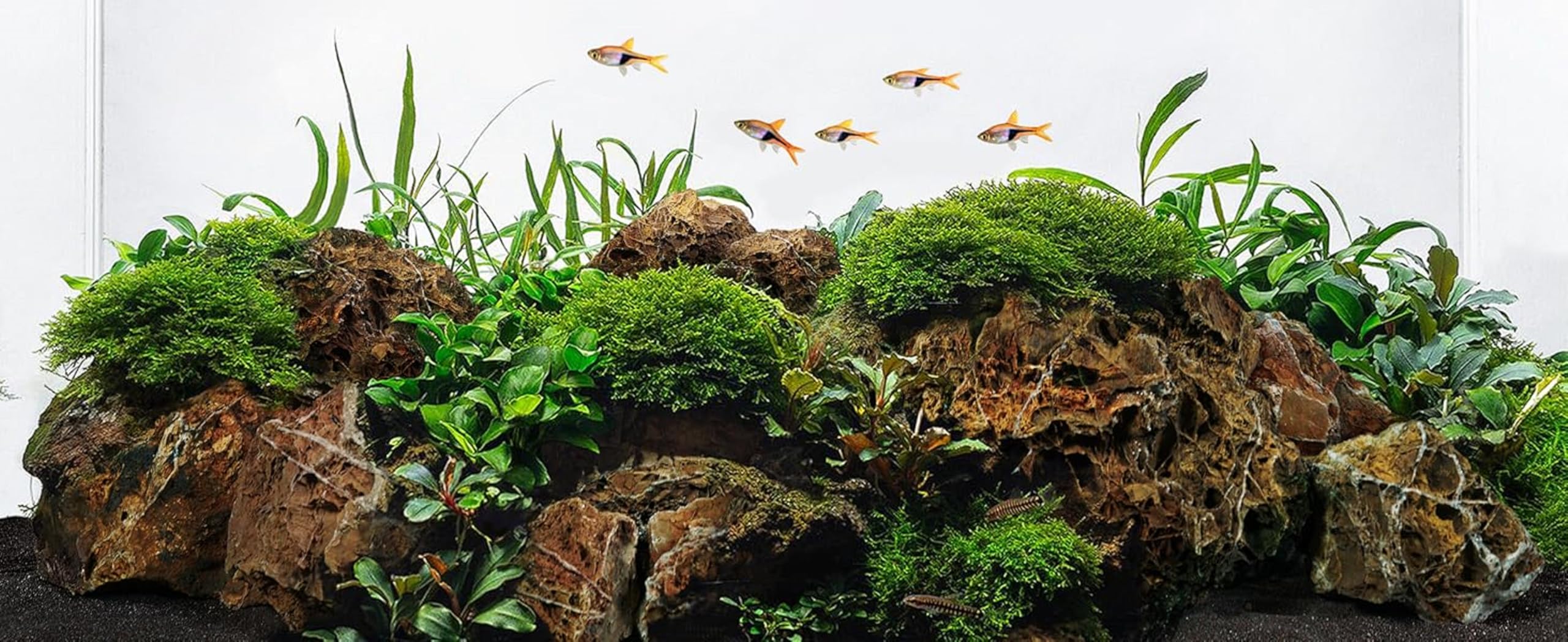 maple stone mix size (1kg)