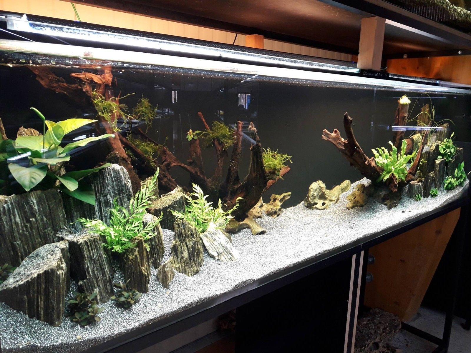 melaleuca stone mix size (1kg)