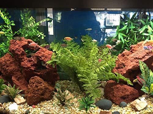 red axe splitting stone mix size (1kg)