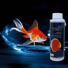 supplements-medicines